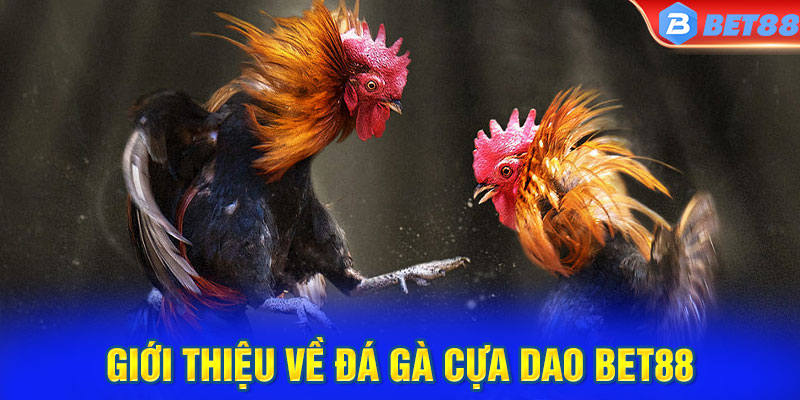 Giới thiệu về đá gà cựa dao BET88